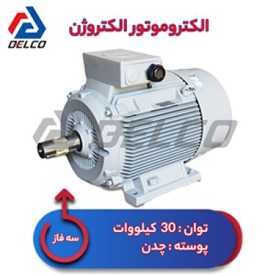 الکتروموتور 30 کیلووات سه فاز پوسته چدن الکتروژن