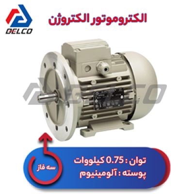 الکتروموتور 0.75 کیلووات سه فاز پوسته آلومینیوم الکتروژن