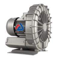 ساید چنل پالما