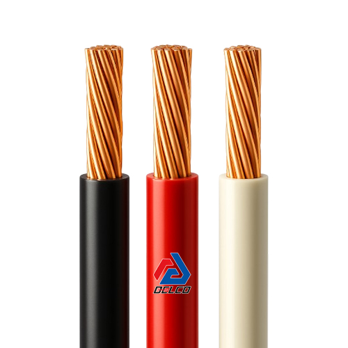 کابل مس افشان