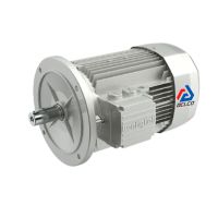 ‎⁨الکتروموتور بونفیلیولی⁩