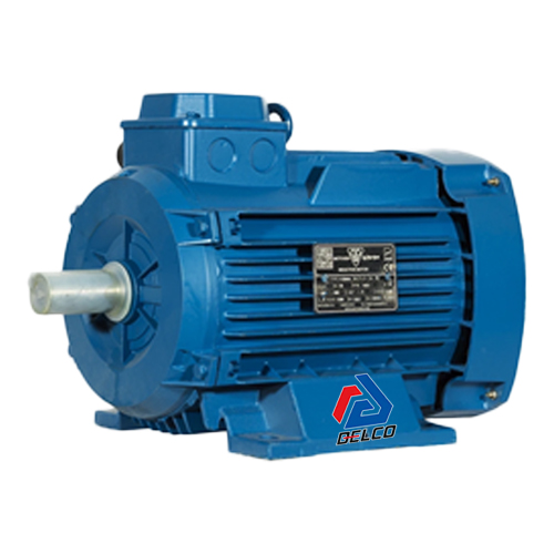 الکتروموتور موتوژن